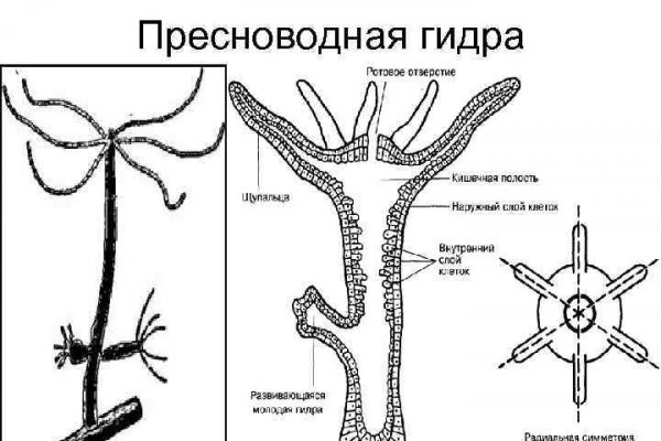 Kraken сайт vtor run