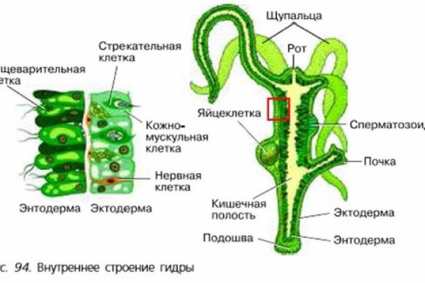 Кракен вход