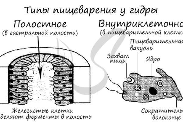 Кракен это vtor run