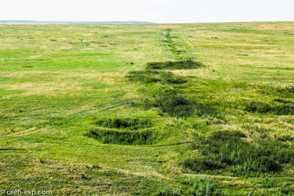 Кракен даркнет что известно