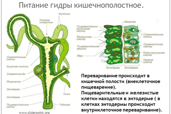 Даркнет сайт войти